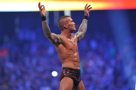 fake hogan wwe orton